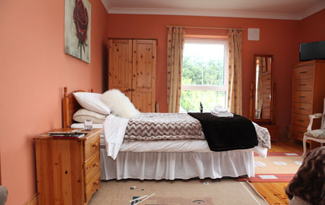 Newlands Lodge Bed And Breakfast, Kilkenny Accommodation, Bed ...